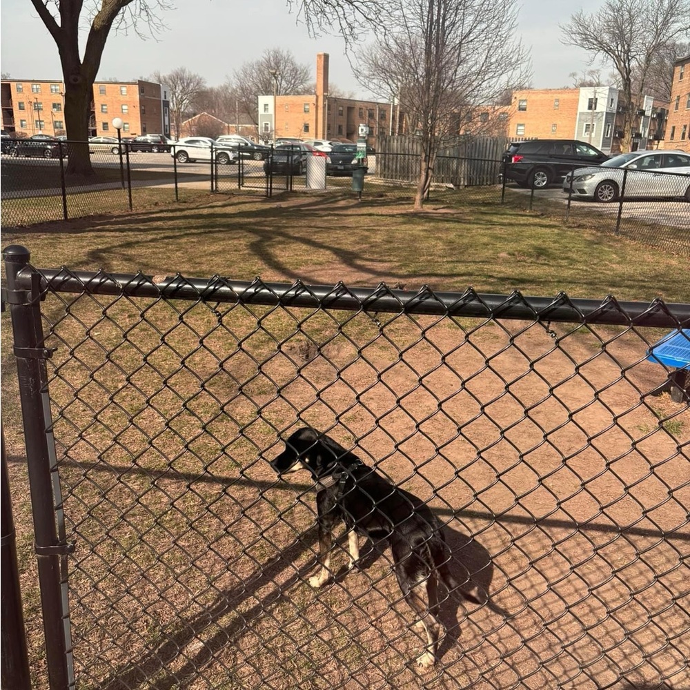 Sunglasses Designed Orange Flower - image 4